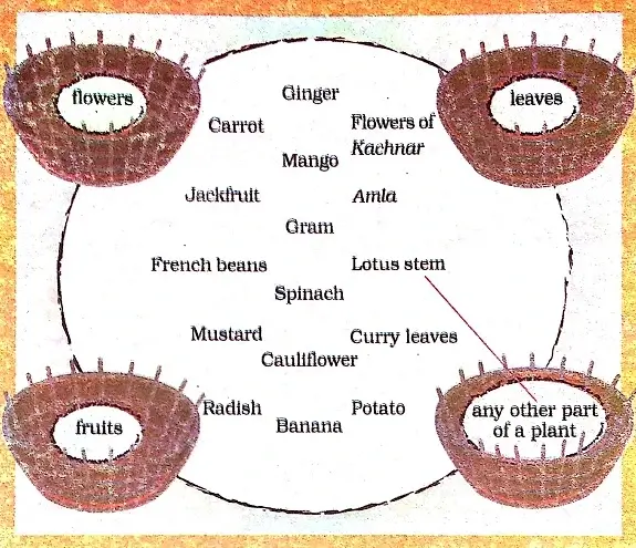 The-Story-of-Food-Class-3-EVS-Question-Answers-4