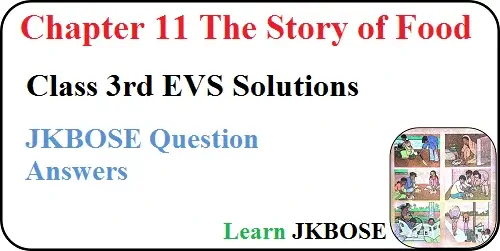 The-Story-of-Food-Class-3-EVS-Question-Answers