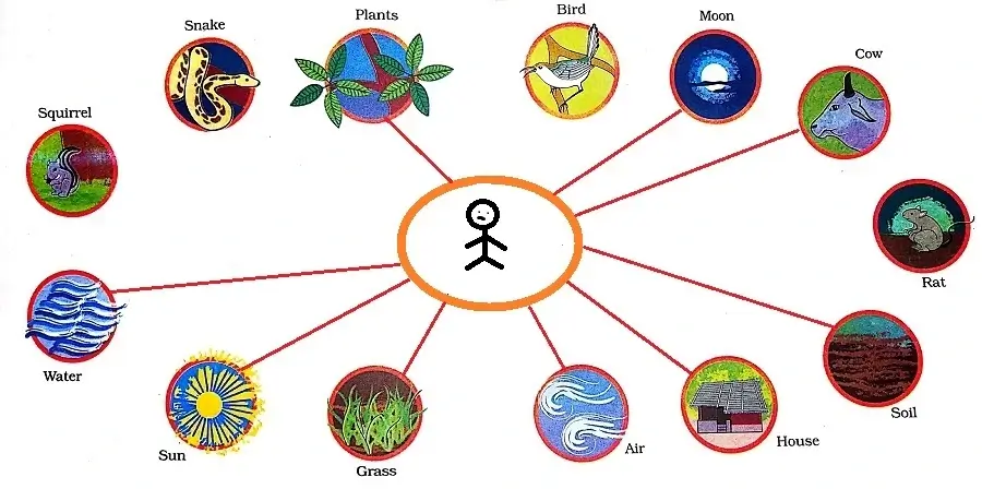 Web-of-Life-Class-3-EVS-Question-Answer-2