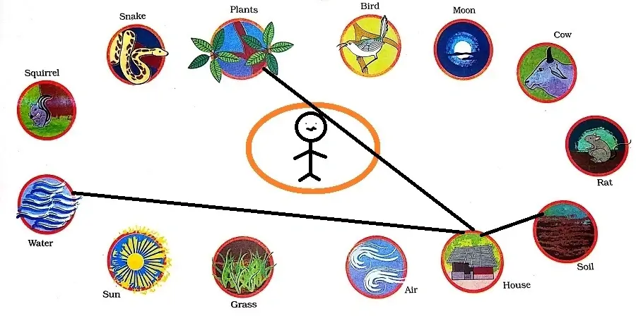  Web-of-Life-Class-3-EVS-Question-Answer-3