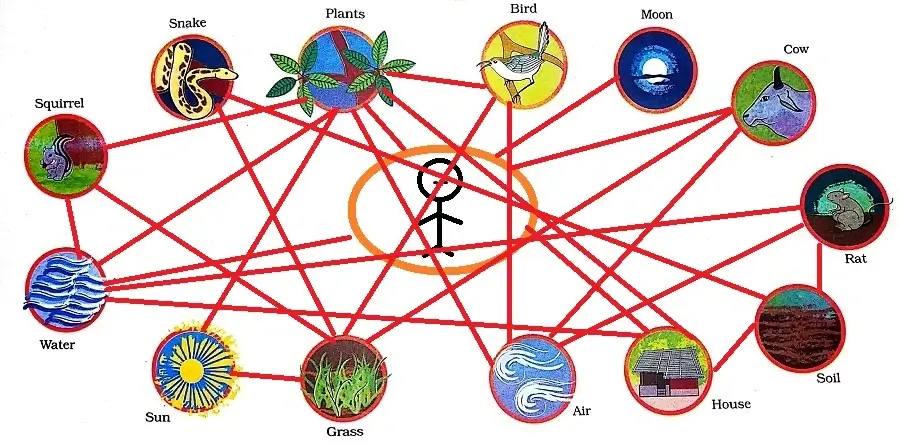 Web-of-Life-Class-3-EVS-Question-Answer-4