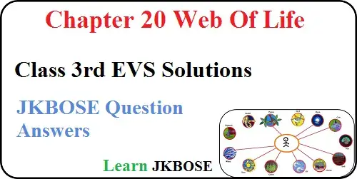  Web-of-Life-Class-3-EVS-Question-Answer