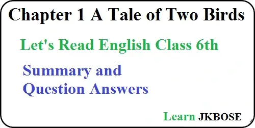 A Tale of Two Birds Summary Explanation Questions