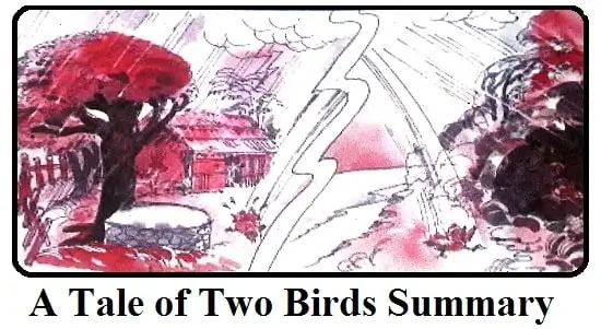 A-Tale-of-Two-Birds