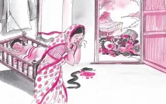 The-Friendly-Mongoose-Summary-Explanation-Question-3