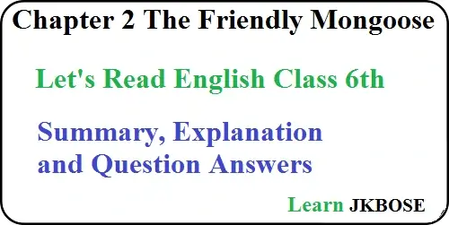 The-Friendly-Mongoose-Summary-Explanation-Question