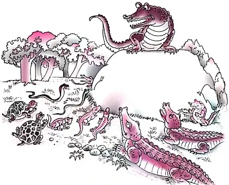 What-Happened-to-The-Reptiles-Summary-and-Questions-3