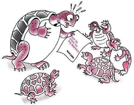  What-Happened-to-The-Reptiles-Summary-and-Questions-4