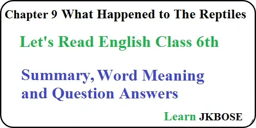 What-Happened-to-The-Reptiles-Summary-and-Questions