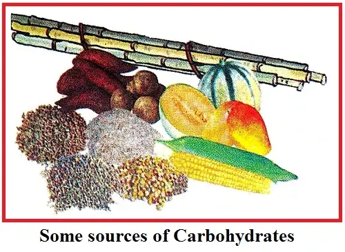 Components-of-Food-sources-of-carbohydrates