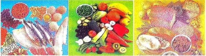 Components-of-Food-Class-6th-Question-Answers-food-varieties