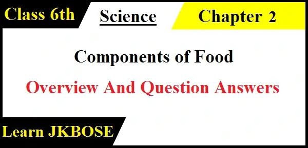 Components-of-Food-Class-6th-Question-Answers