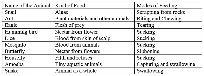 Different-ways-of-taking-food-nutrition-in-animals-class-7th
