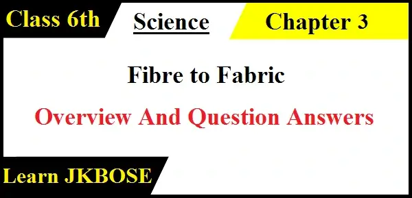 Fibre-to-Fabric-Class-6th-Question-Answers