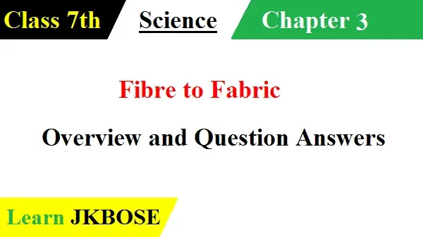Fibre-to-Fabric-Class-7th-Question-Answers