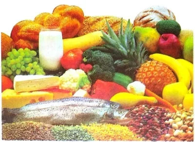 Food-Where-Does-It-Come-From-Class-6-Question-Answers-2