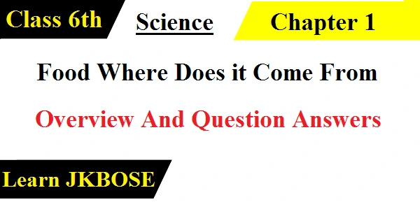 Food-Where-Does-It-Come-From-Class-6-Question-Answer