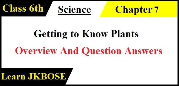 Getting-to-Know-Plants-Class-6th-Question-Answers