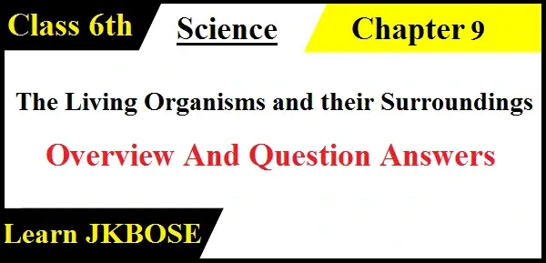 Motion and Measurement of Distances Class 6th Question Answers.