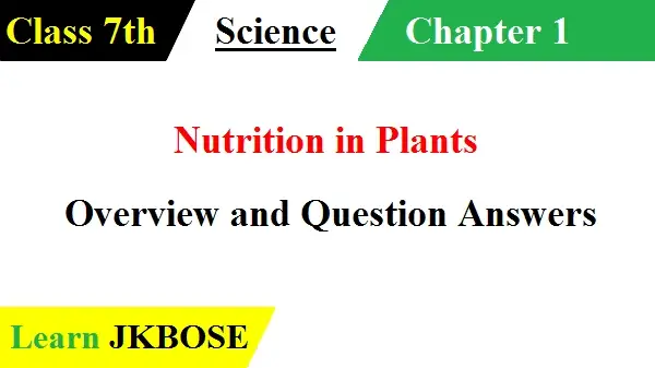 Nutrition-in-Plants-Class-7th-Question-Answers