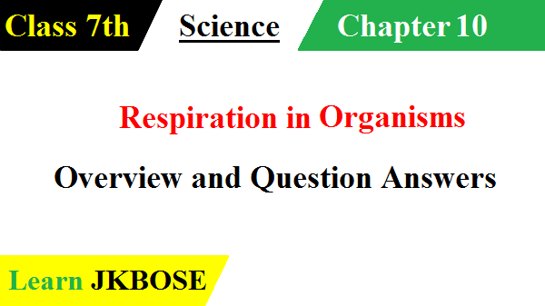 Respiration-in-Organisms-Class-7-Question-Answers