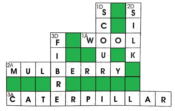 fibre-to-fabric-class-7th-3
