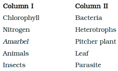 match-the-following-nutrition-in-plants