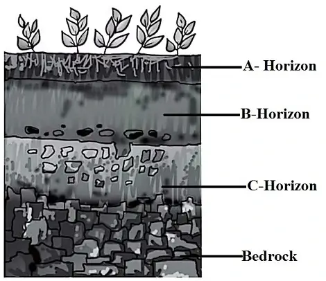 soil-layers
