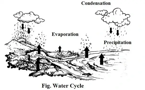 water-chapter-14-class-6th