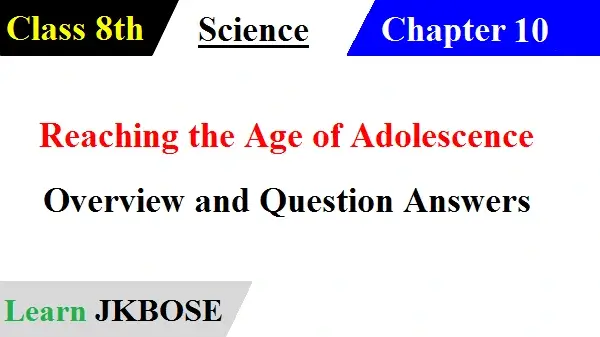 Reaching-the-Age-of-Adolescence-Class-8-Question-Answers