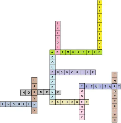 Reaching-the-age-of-Adolescence-image-4