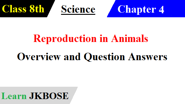 Reproduction-in-Animals-Class-8-Question-Answers