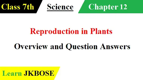 Reproduction-in-Plants-Class-7-Question-Answers