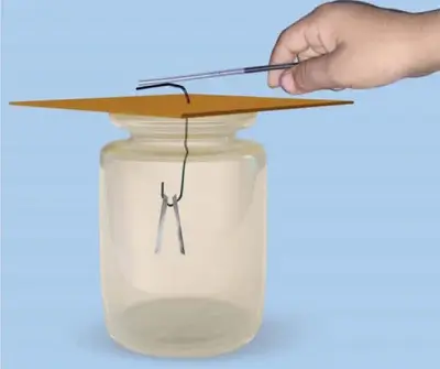 Some-Natural-Phenomena-Class-8-Question-Answers-2