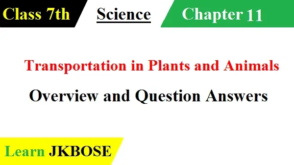 Transportation-in-Plants-and-Animals-Question-Answers