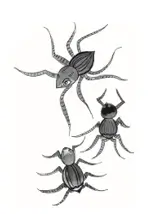 How-many-times-image-2