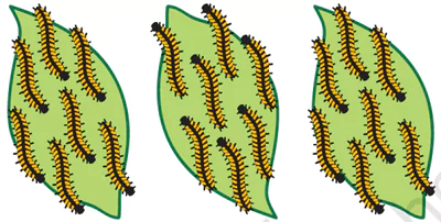 can-we-share-chapter-solutions-page-no-133-to-page-no-138-image-2