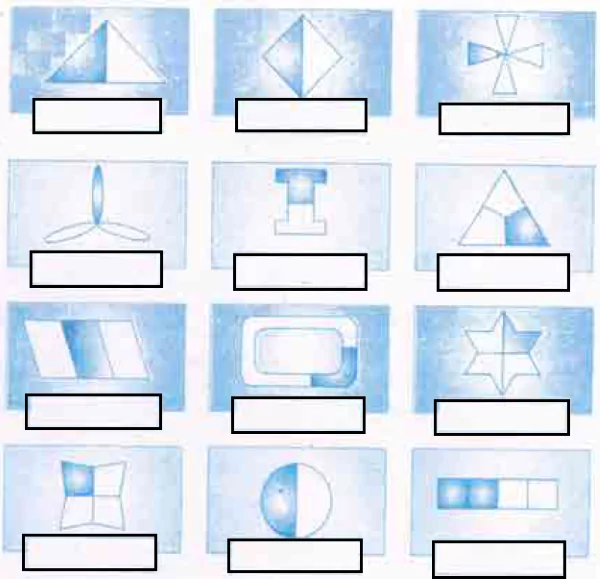 fractional-numbers-solutions-page-no-163-to-page-no-168-img-14
