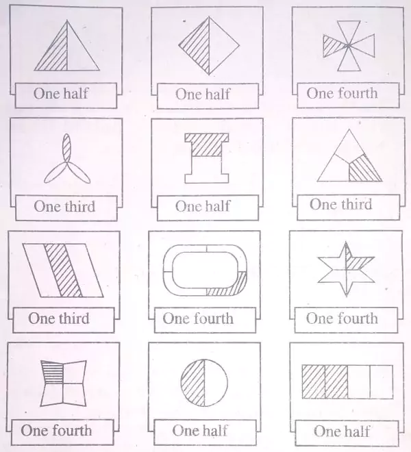 fractional-numbers-solutions-page-no-163-to-page-no-168-img-15
