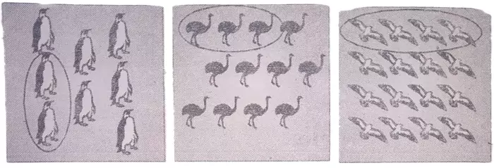 fractional-numbers-solutions-page-no-171-to-page-no-174-img-4