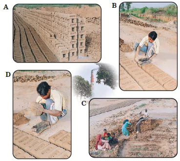 Building-and-Bricks-Class-4-Math-JKBOSE-Solutions-img-27