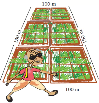 Fields-and-Fences-Class-4-Math-JKBOSE-Solutions-img-8