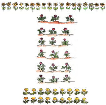 Tables-and-Shares-Class-4-Math-JKBOSE-Solutions-img-2