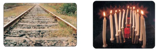 The-Way-the-World-Looks-Class-4-Math-JKBOSE-Solutions-img-4