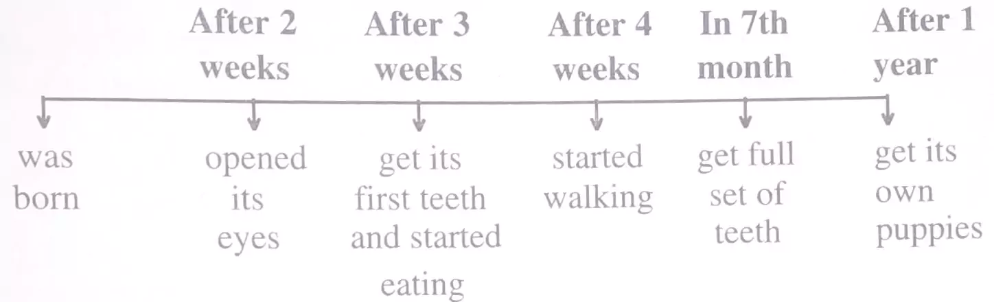 Tick-Tick-Tick-Chapter-4-Class-4-Math-JKBOSE-Solutions-img-25