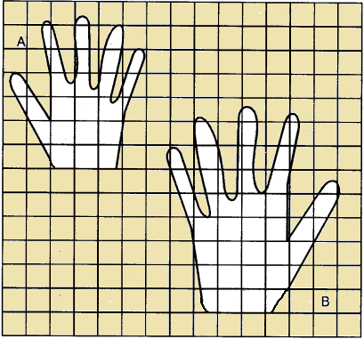 How-Many-Squares-Chapter-3-Class-5-JKBOSE-Solutions-img-6