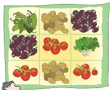 Parts-and-Wholes-Chapter-4-Class-5-JKBOSE-Solutions-img-14