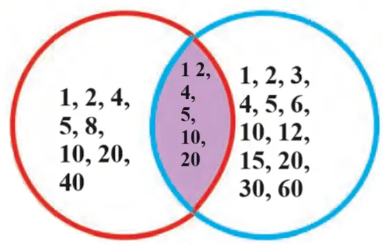 Be-My-Multiple-Ill-be-Your-Factor-img-20