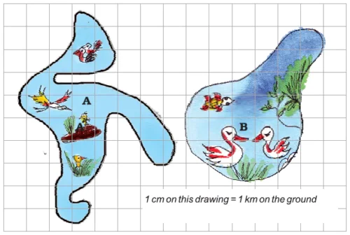 Area-and-its-Boundary-Class-5-JKBOSE-Solutions-img-11
