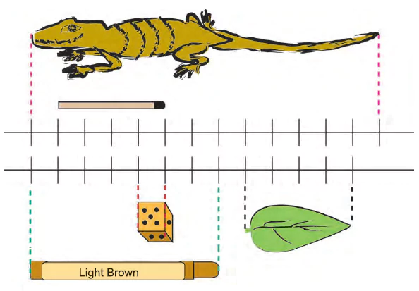 Long-and-Short-Class-3rd-Math-Solutions-Part-1-img-6